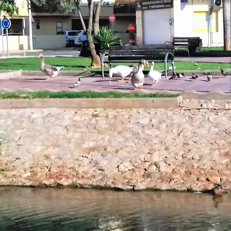 Prado * Peniscola